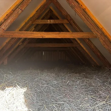Heintega Lakapealne Puka