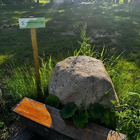 Heintega Lakapealne Puka