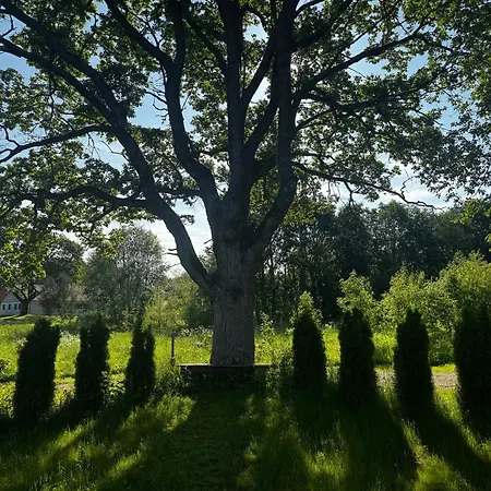 Heintega Lakapealne Campingplads