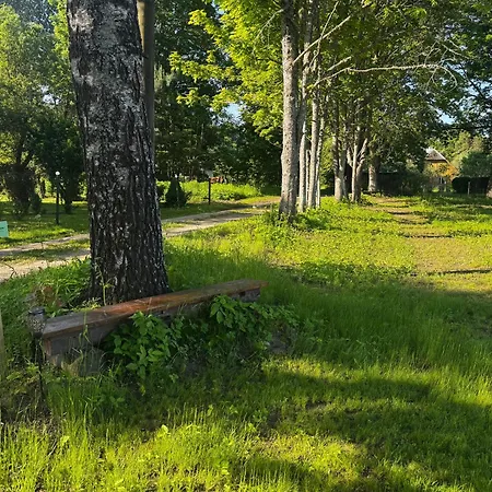 Campingplads Heintega Lakapealne